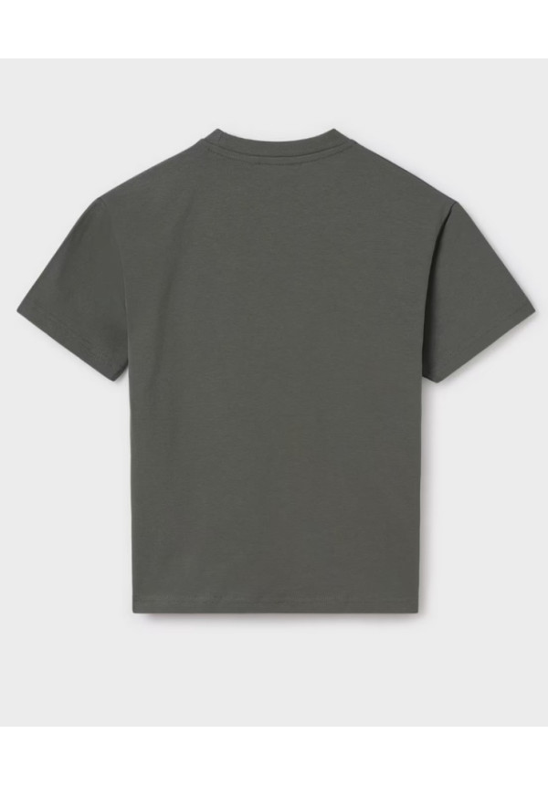 Camiseta Eucalipto