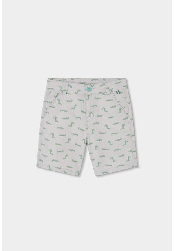 Conjunto 2p Dino