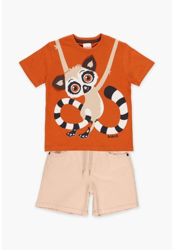 Conjunto 2p Koala