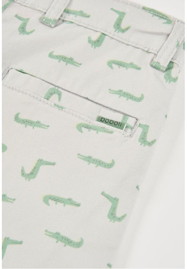 Conjunto 2p Dino