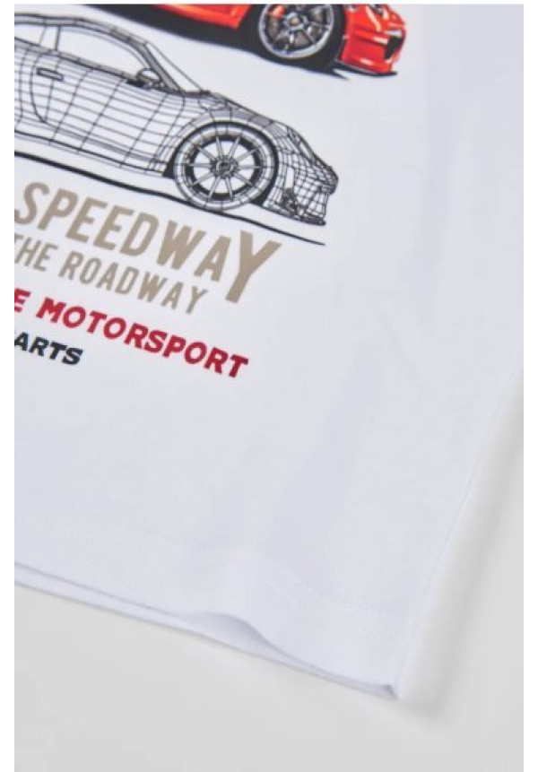 Camiseta M/L Coche