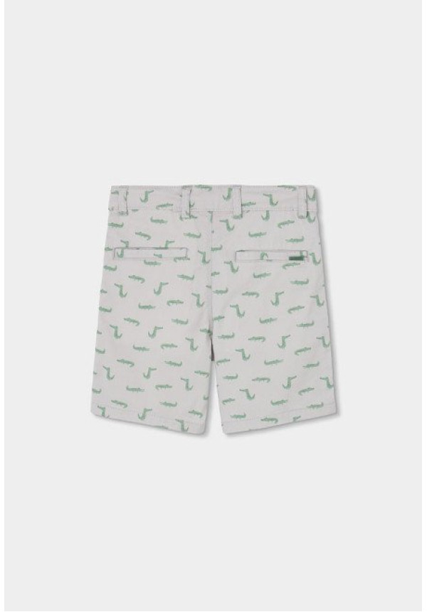 Conjunto 2p Dino