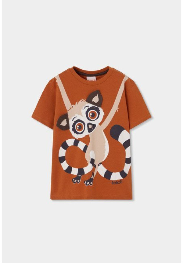 Conjunto 2p Koala