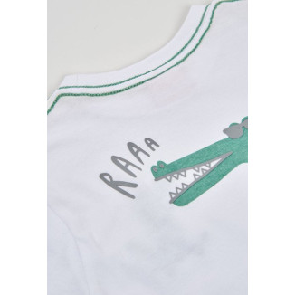 Conjunto 2p Dino