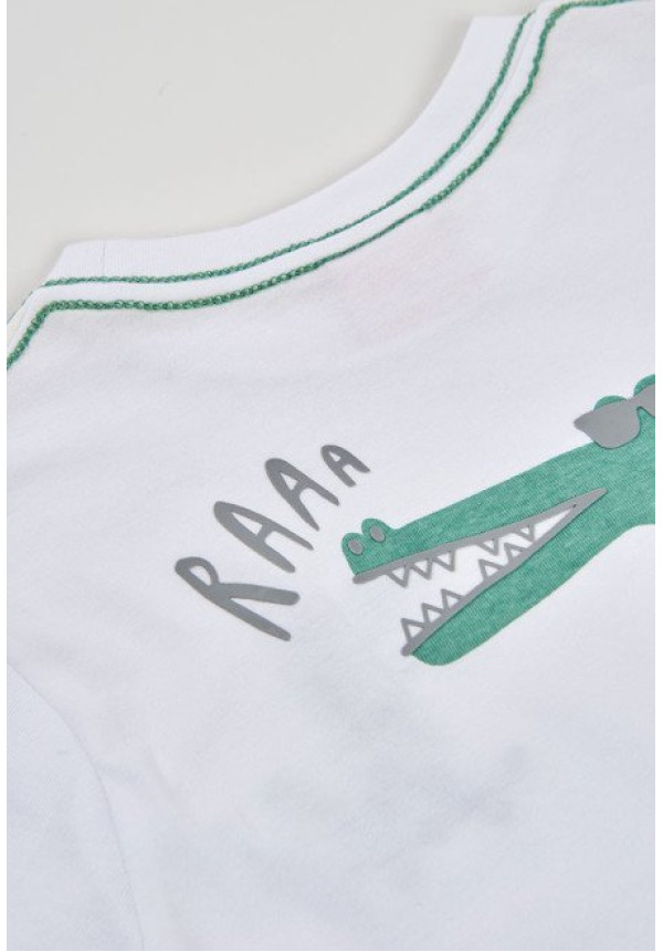 Conjunto 2p Dino