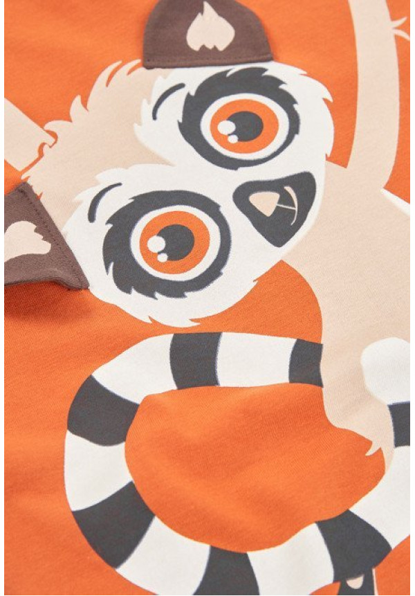 Conjunto 2p Koala