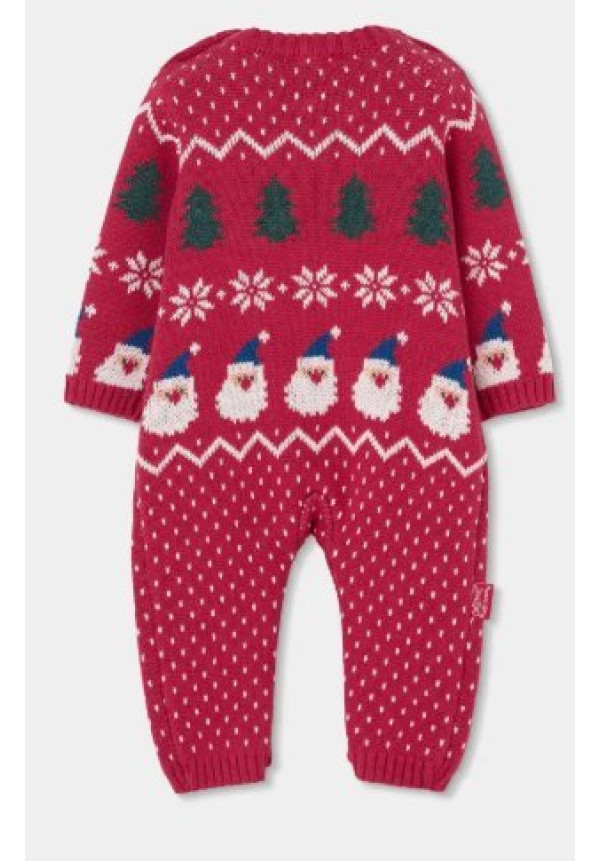 Conjunto Punto Navidad