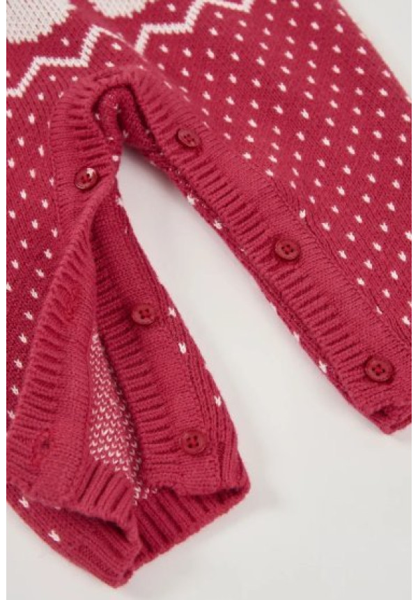 Conjunto Punto Navidad