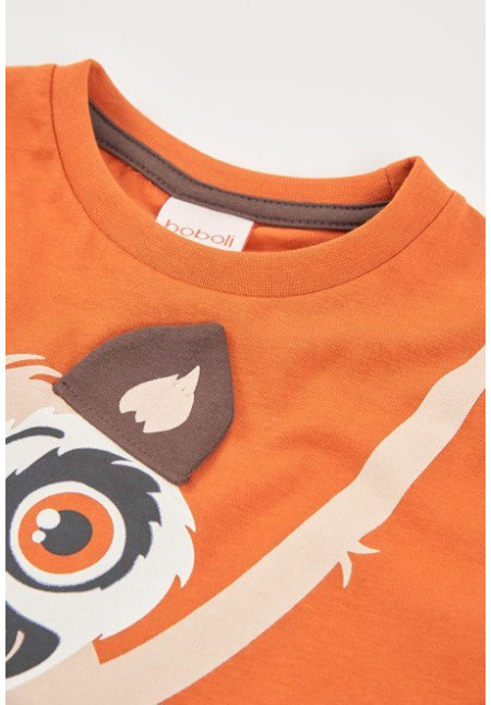 Conjunto 2p Koala