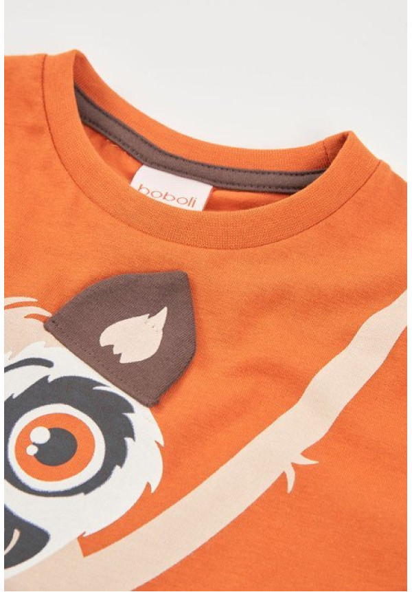 Conjunto 2p Koala