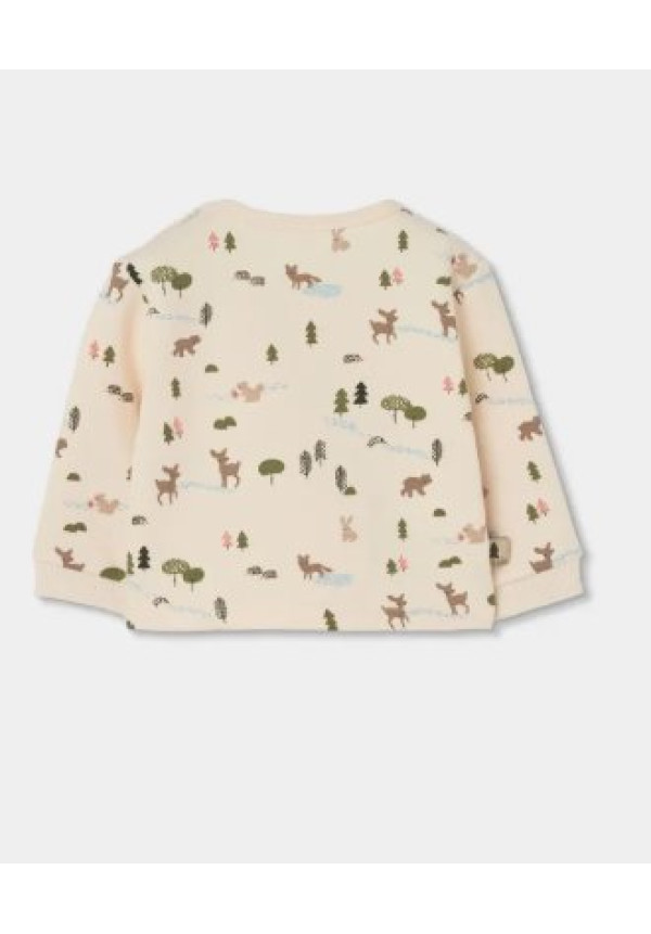 Conjunto Afelpado 2p Bosque