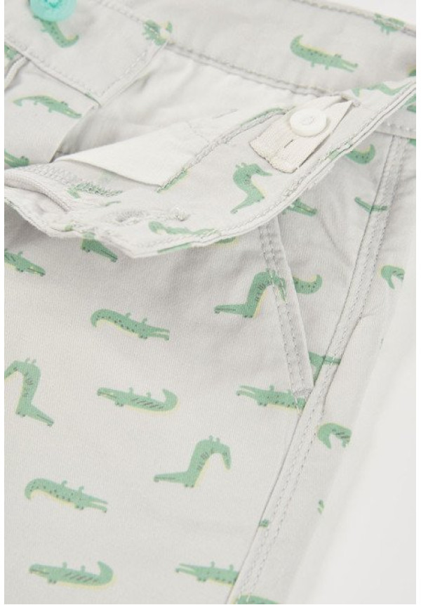 Conjunto 2p Dino