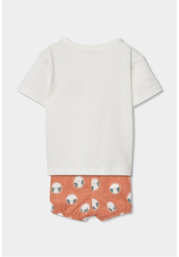 Conjunto 2p Hello